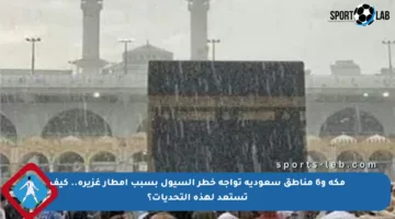 مكة و6 مناطق سعودية تواجه خطر السيول بسبب أمطار غزيرة.. كيف تستعد لهذه التحديات؟